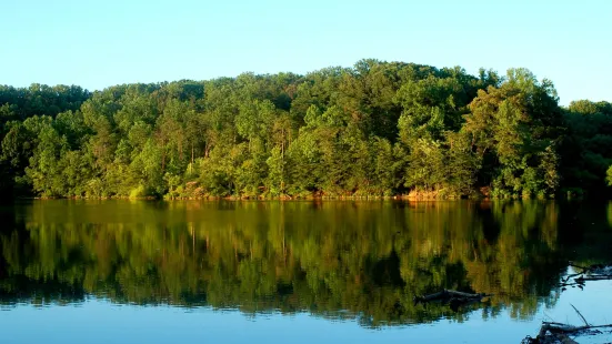 Lake Accotink Park