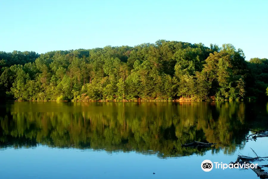 Lake Accotink Park