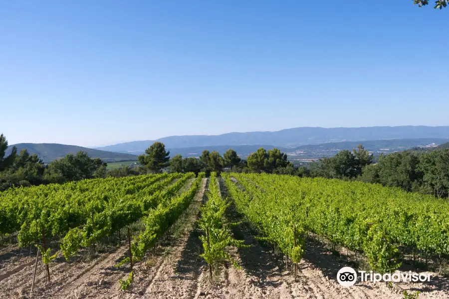 Chateau La Coste en Provence