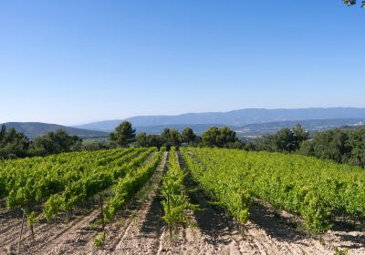 Chateau La Coste en Provence