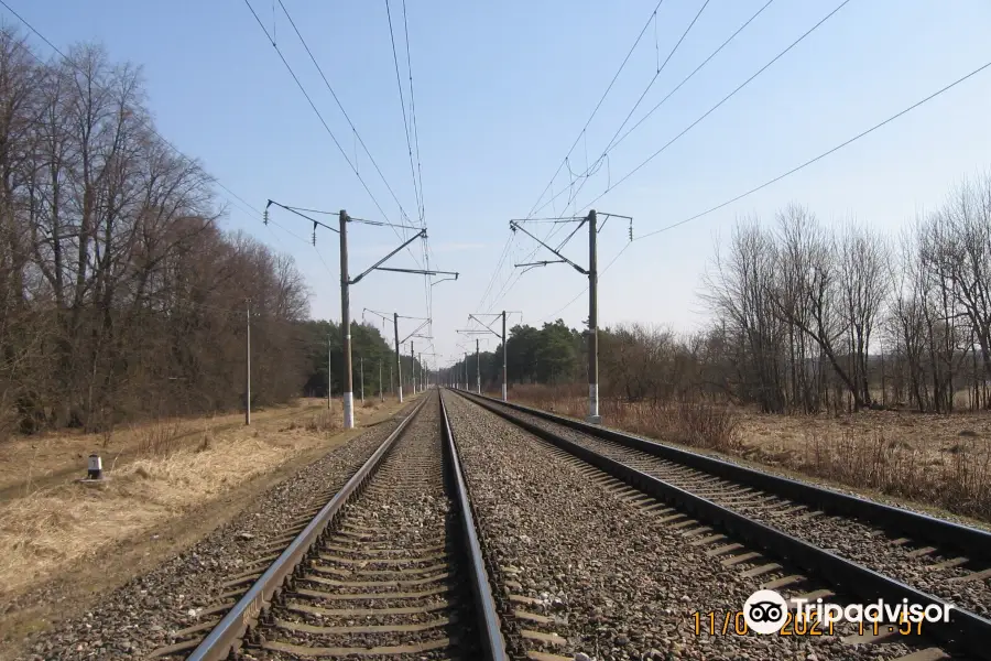 Gnyozdovo Historical Archeological and Natural Museum Reserve