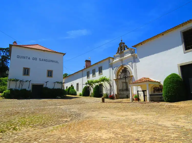 Hotels in Bombarral