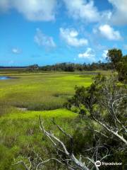 Stokes Landing Conservation Area