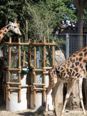 Jardín zoológico de Riga