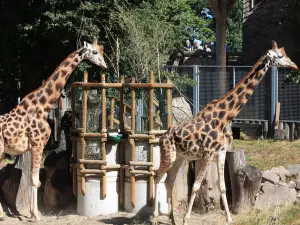 Jardín zoológico de Riga