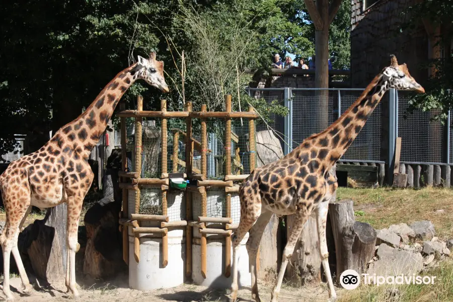 Riga National Zoological Garden