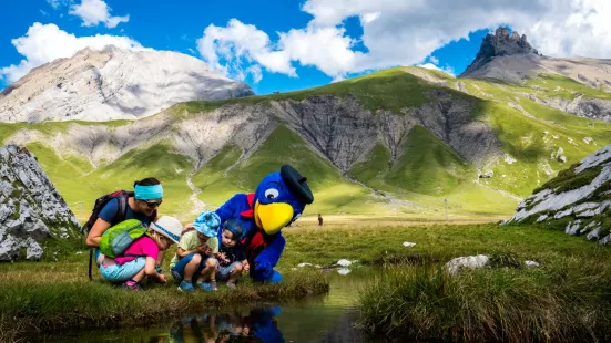 Bergbahnen Engstligenalp AG