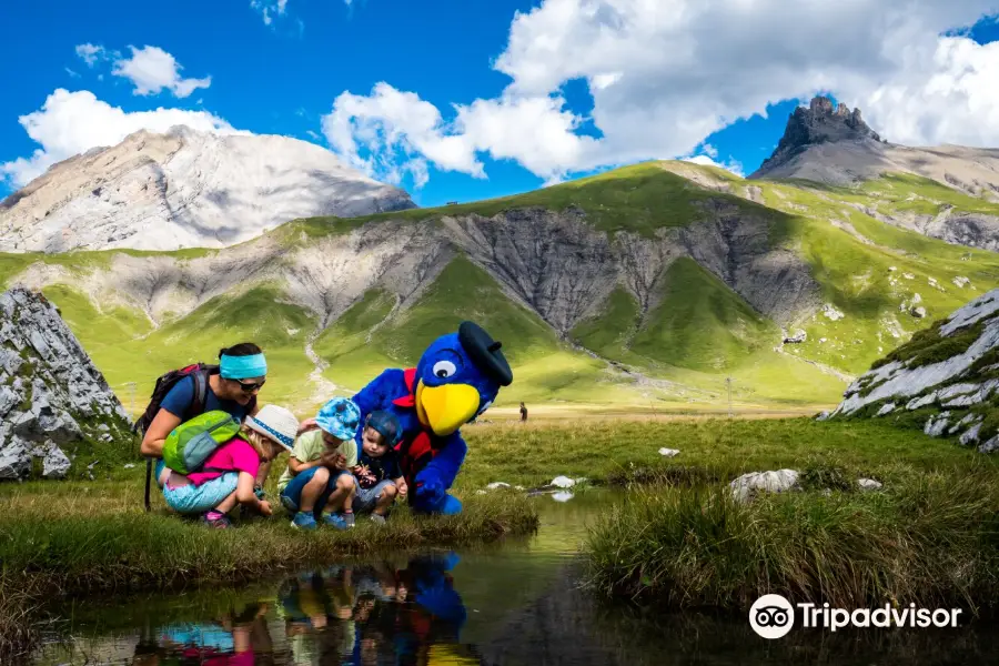 Bergbahnen Engstligenalp AG