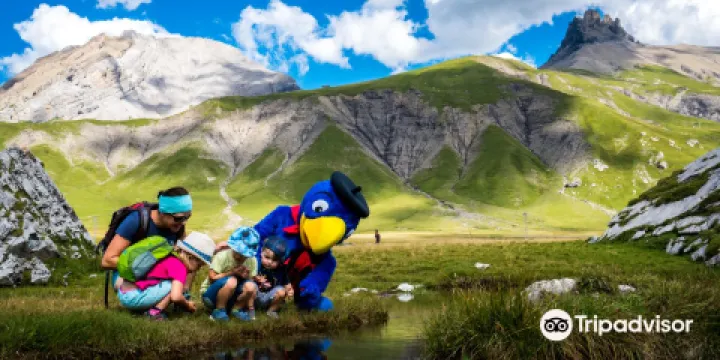 Bergbahnen Engstligenalp AG