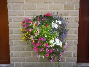 Glapwell Nurseries