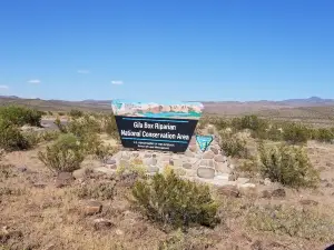 Gila Box Riparian National Conservation Area