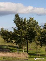 Bury Golf Club