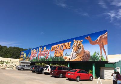 Wild Valley Adventure Park (Under Renovations)