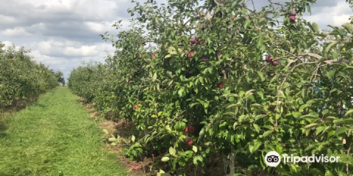 Applewood Orchard