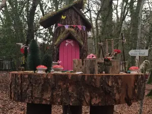 Erica's Fairy Forest