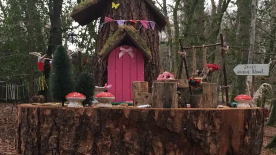 Erica's Fairy Forest