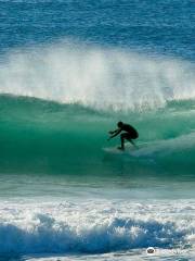 SurfMilfontes - Surf School in Vila Nova de Milfontes