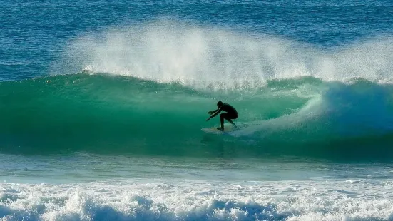 SurfMilfontes - Surf School in Vila Nova de Milfontes