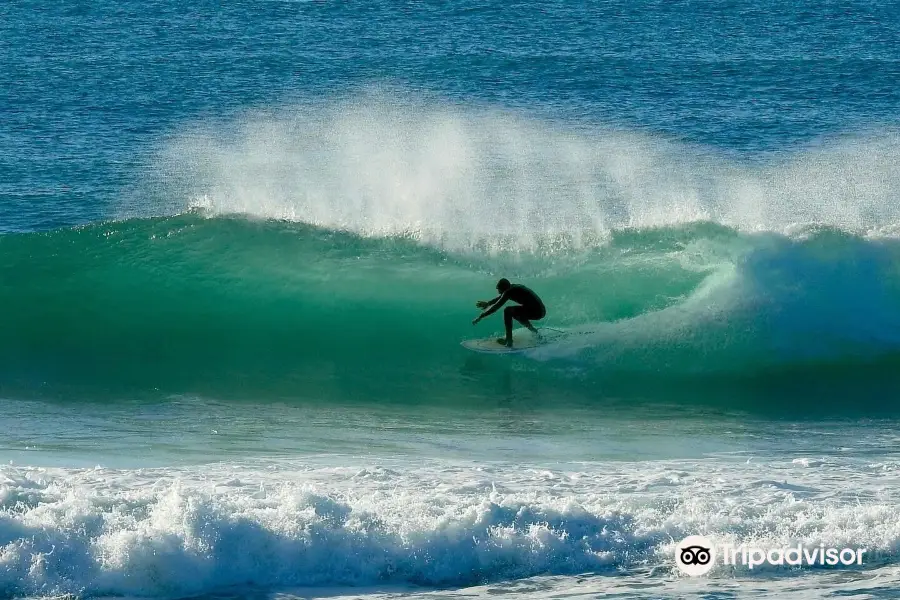 SurfMilfontes - Surf School in Vila Nova de Milfontes