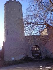 Burg Laufenburg