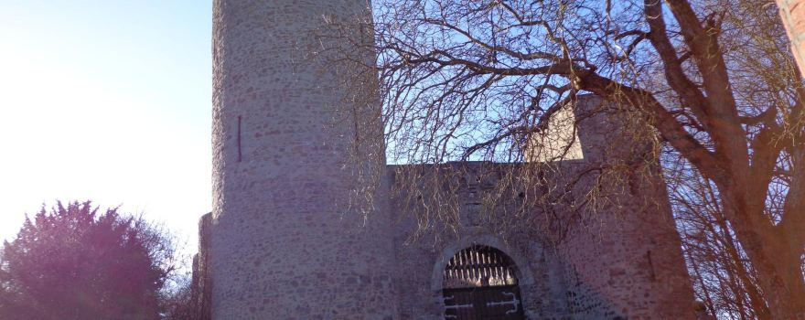 Burg Laufenburg