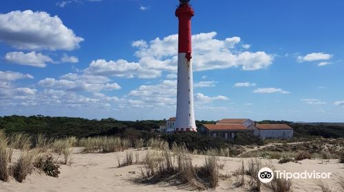 Plage de la Coubre