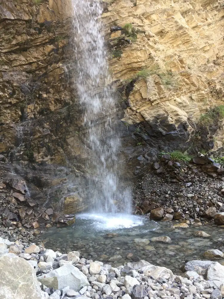 Cúc Phương