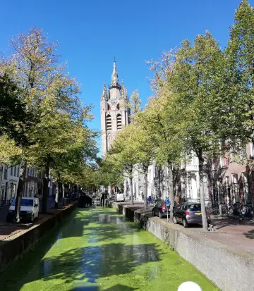 Delft