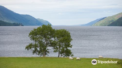 South Loch Ness trail start/end