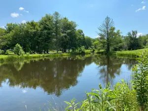 The Park at Flat Rock