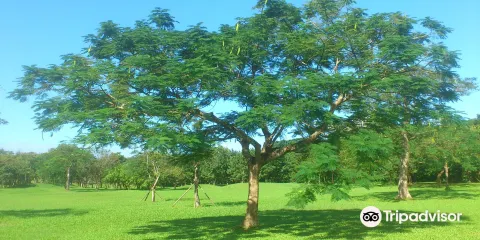 羅東運動公園
