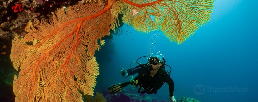 Babou Cote Ocean