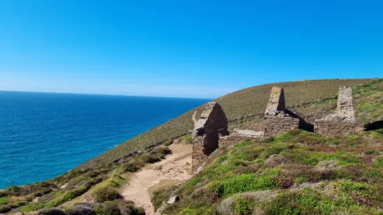 Wheal Coates