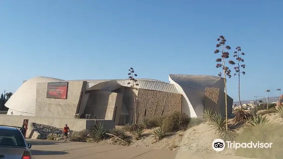 Magma Art & Congress Unitbase