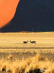 Wild Wind Safaris