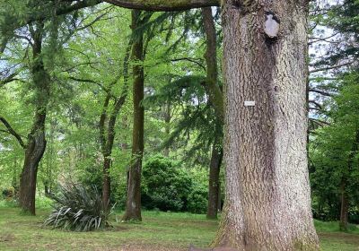 Wombat Hill Botanic Gardens