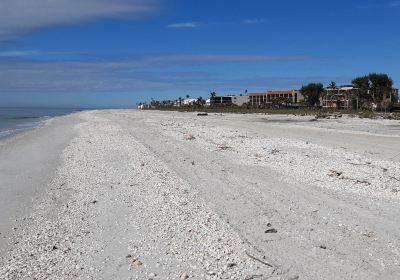 Gulfside City Park Beach （Algiers）