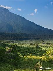 Parc National des Virunga