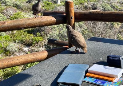 Agulhas National Park