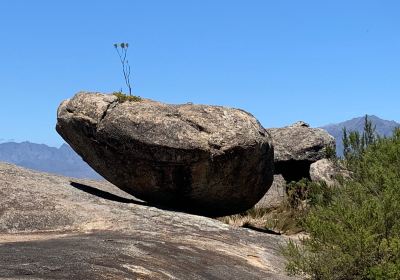 Paarl Mountain Nature Reserve