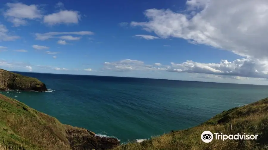 Ardmore Cliff Walk