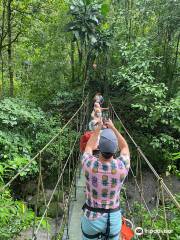 Canopy Adventure