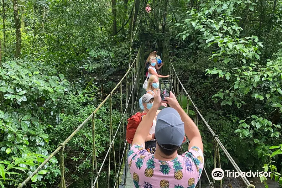 Canopy Adventure