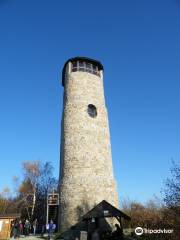 Brdo lookout tower