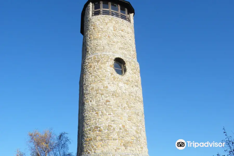 Brdo lookout tower