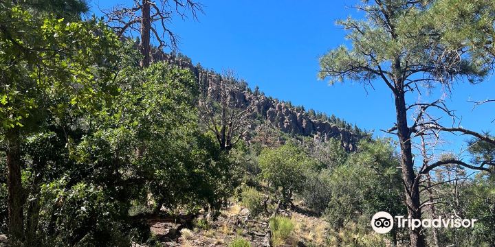 Fatmans Loop Trail