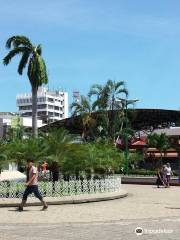 Parque Central Miguel Hidalgo