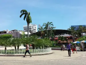 Parque Central Miguel Hidalgo