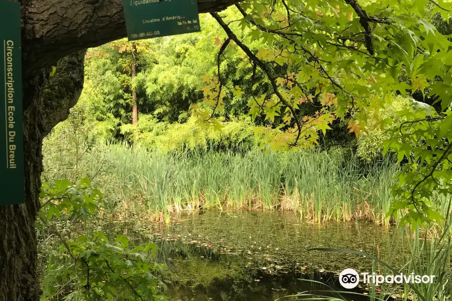 Arboretum Du Bois De Vincennes