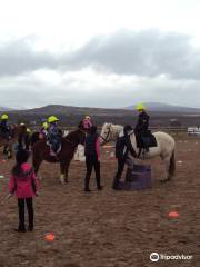 Highland Horse Fun